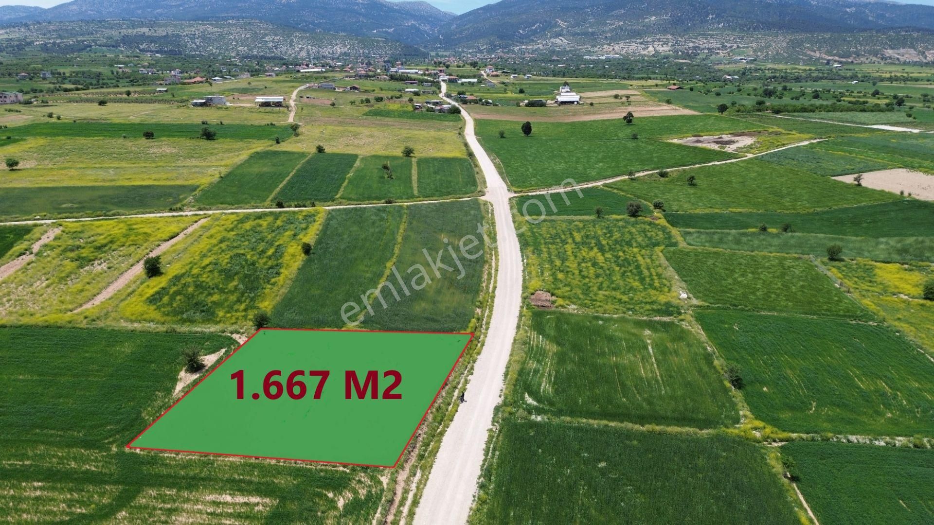 Korkuteli Yeltende Yol Kenarı 1667 M2 Tarla Merkeze Yakın