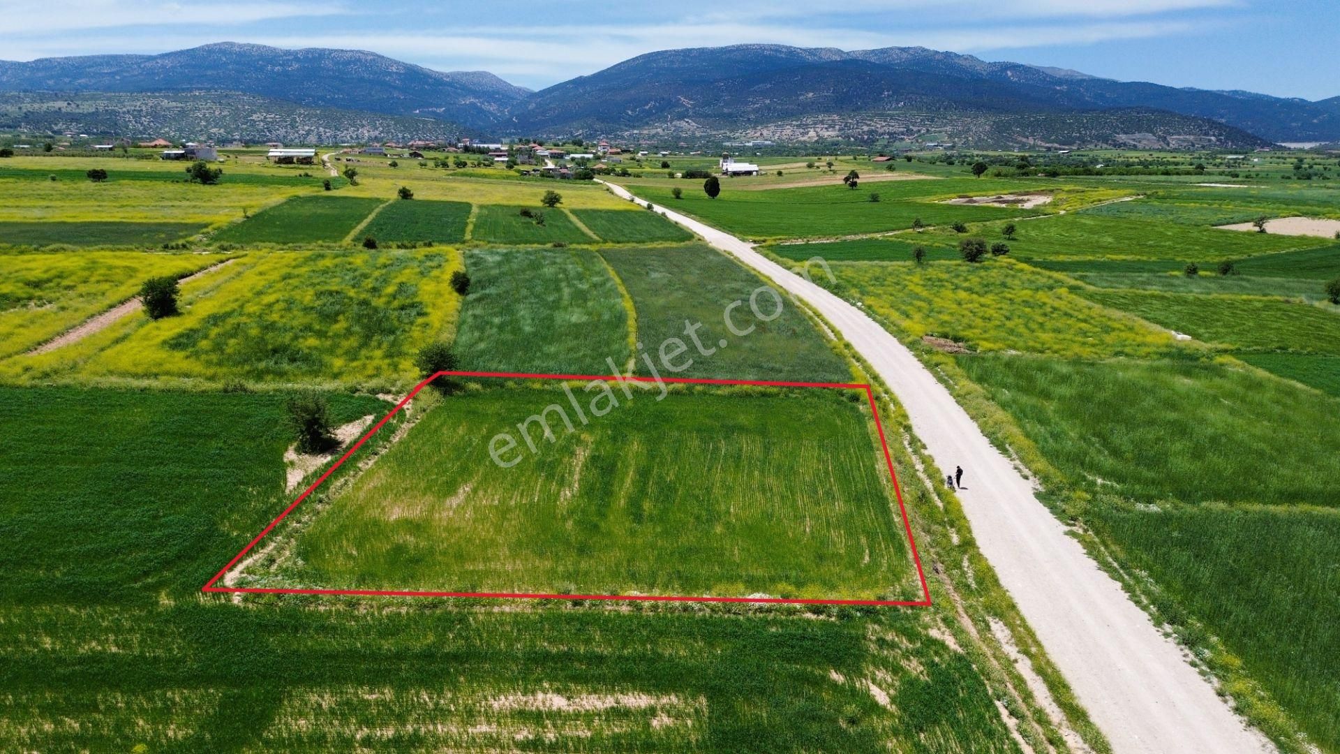 Korkuteli Yeltende Yol Kenarı 1667 M2 Tarla Merkeze Yakın