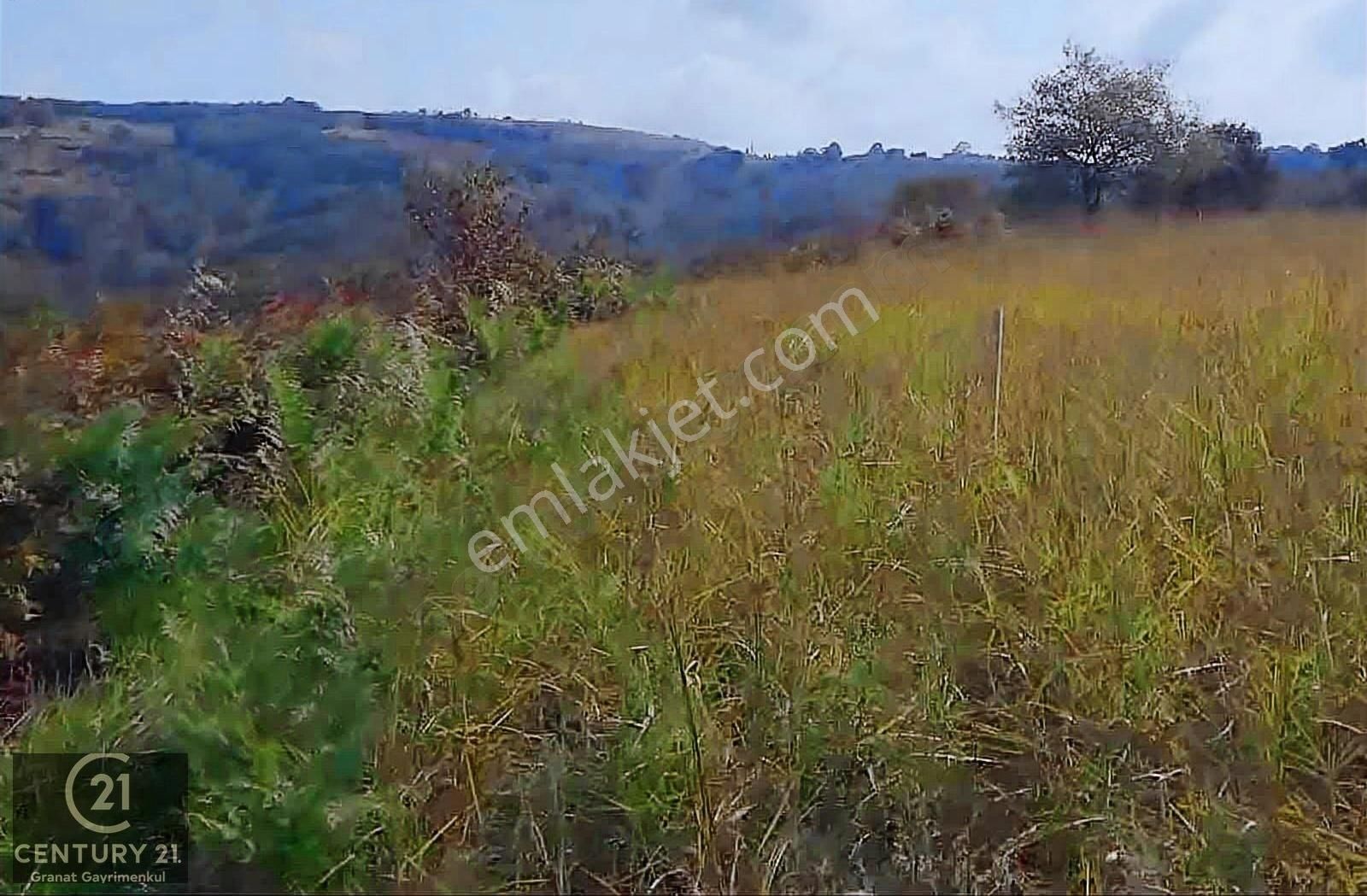 Kocaeli Kandıra Elmacık Köyünde Satılık 3139 M2 Tarla