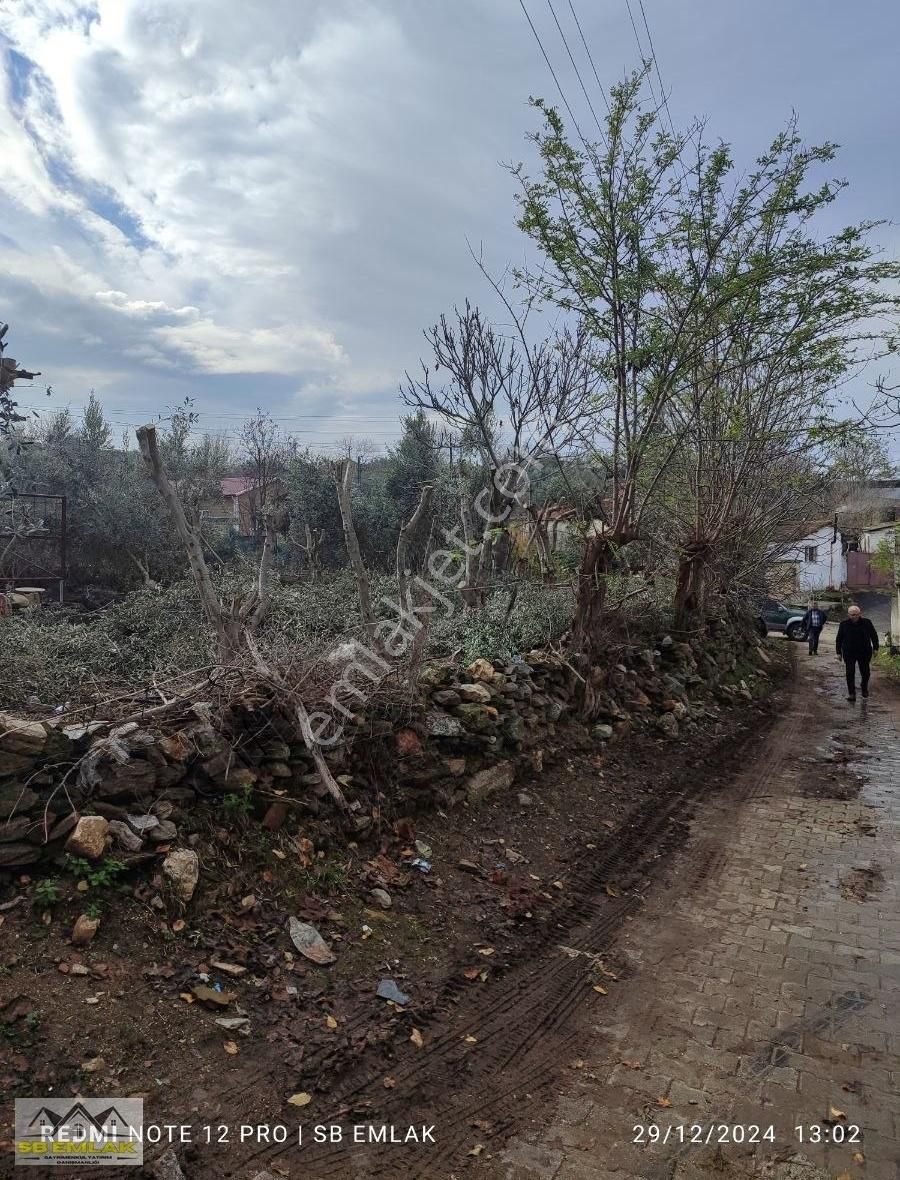 Sb Emlak Ofisinden Köyiçi Arsa