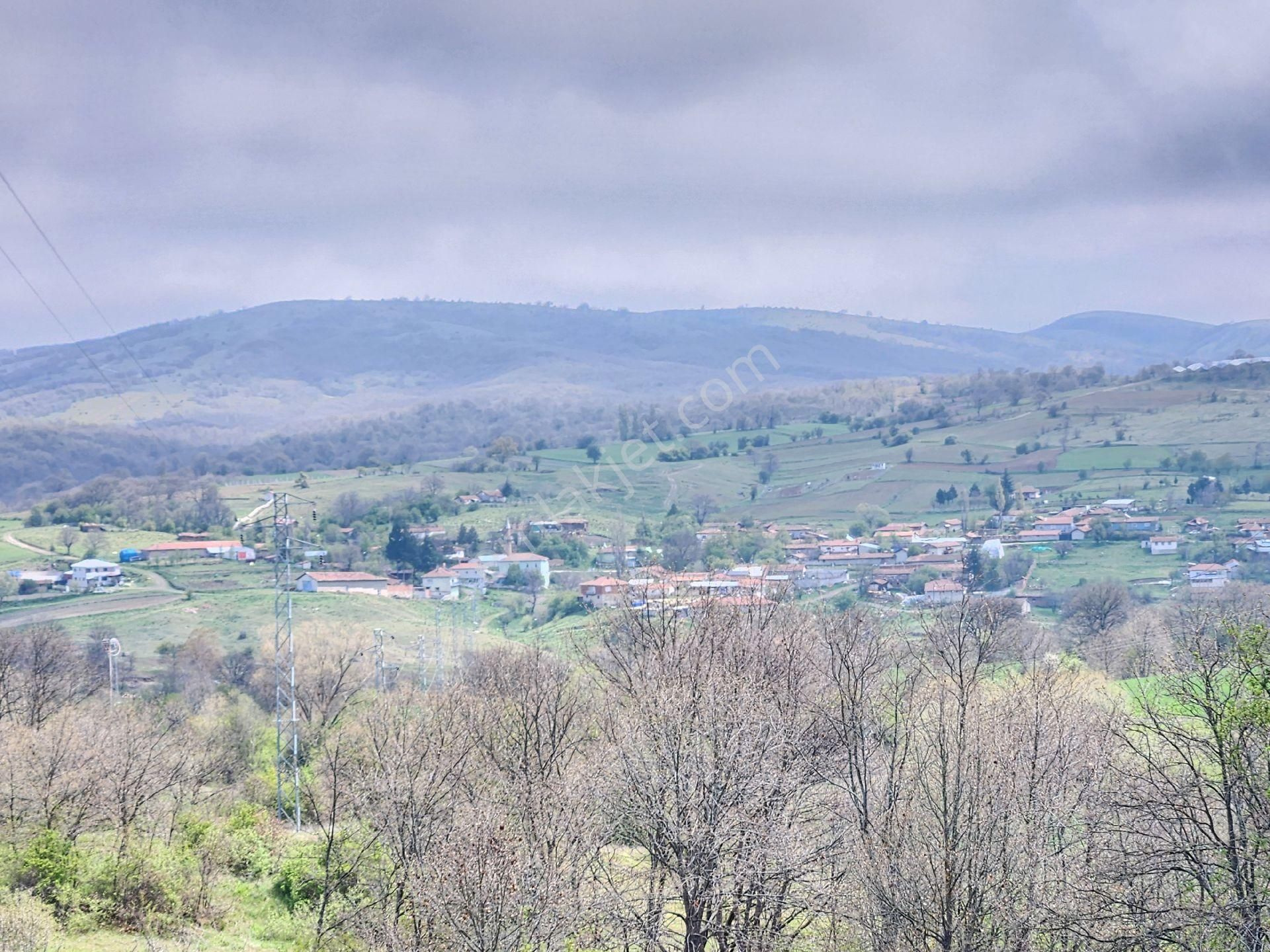Bozüyük Merkeze 4 Km Karabayır 3289 M2 Etrafında Bağ Evleri Var