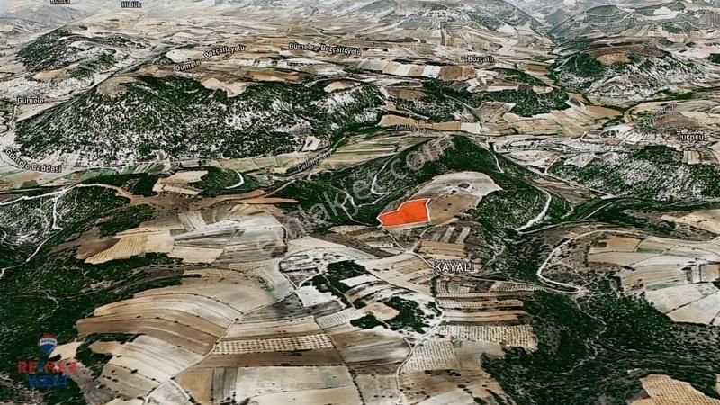 Manısa Selendi Kurşunlu Köyü Satılık 25 Dönüm Tarla