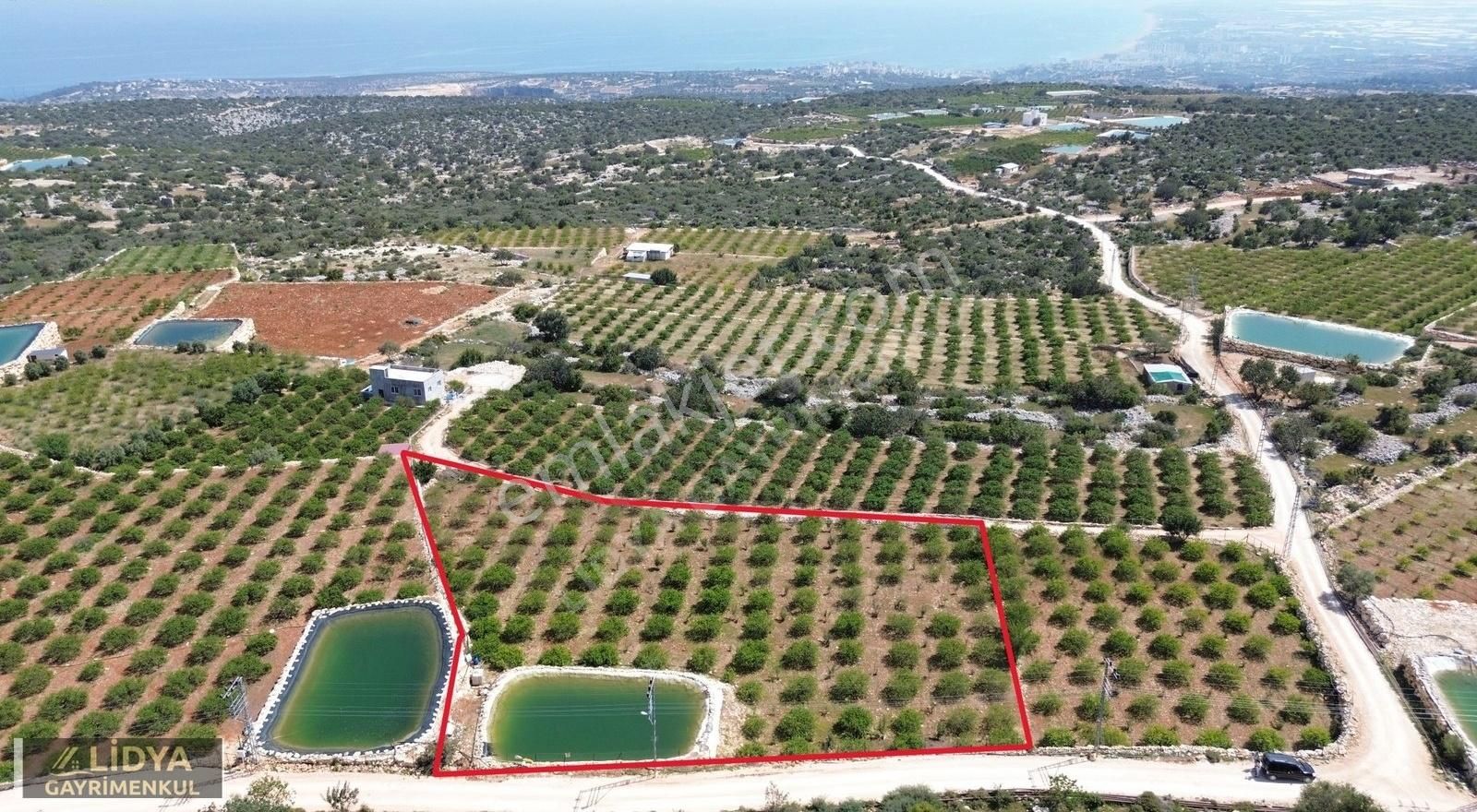 2,900 M2 Deniz Şehir Doğa Manzaralı Tarla Müstakil Tapulu
