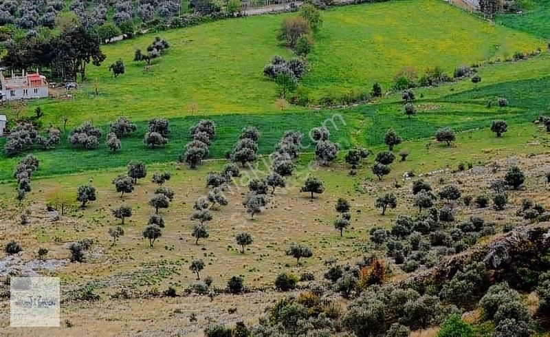 Araç Takaslı Göl Manzaralı Müstakil Tapu