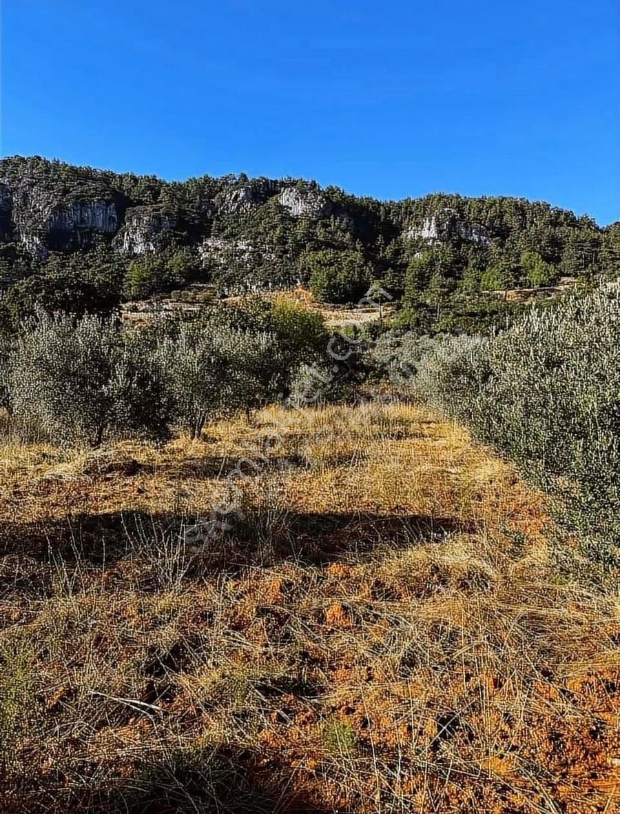 Sky'dan Muğla Menteşe'de Merkeze 20 Dakika Satılık Tarla