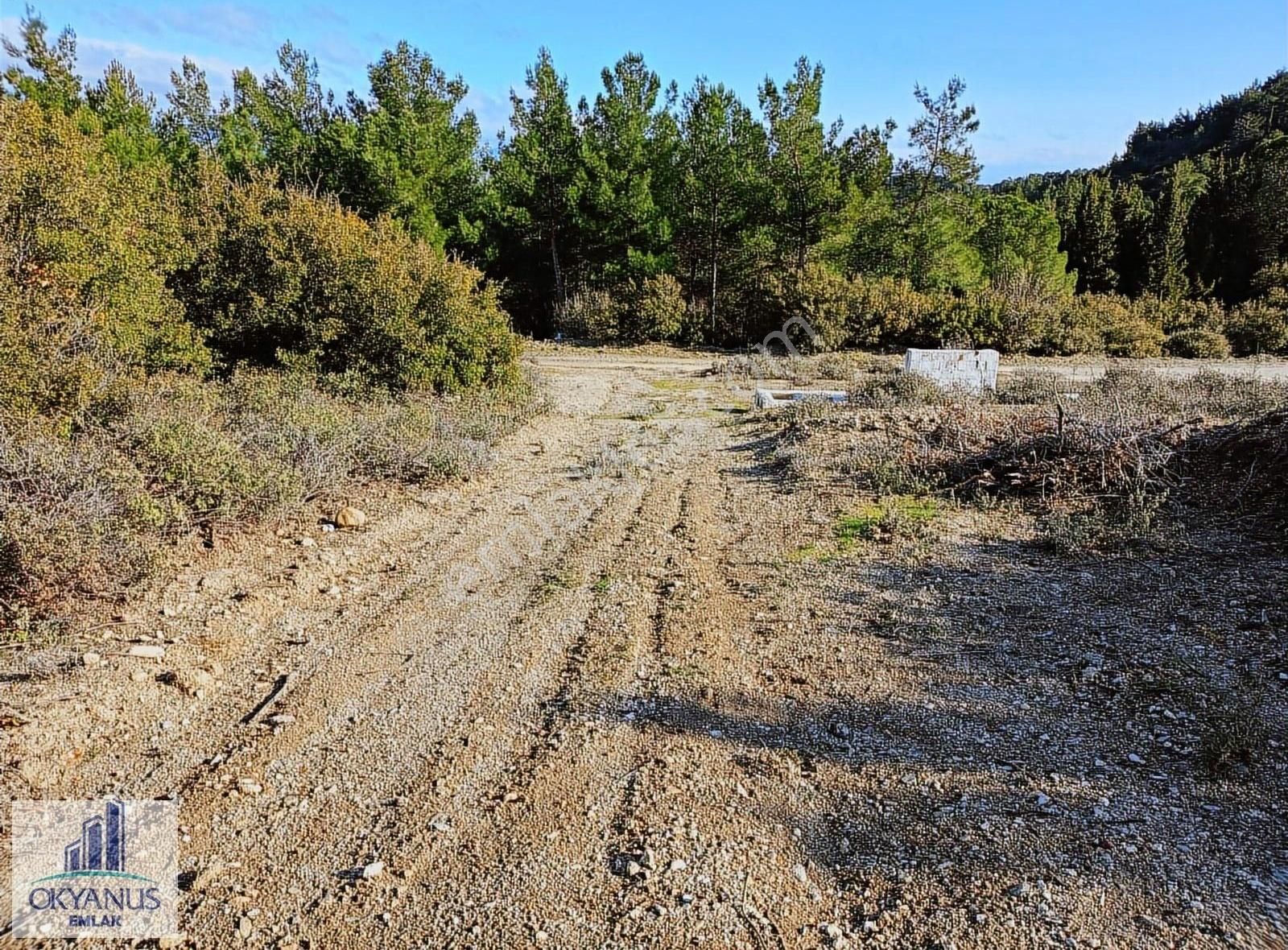 Gözlet De 3.700 M2 Zeytinlik , Köye 300 Mt - Görsel 33
