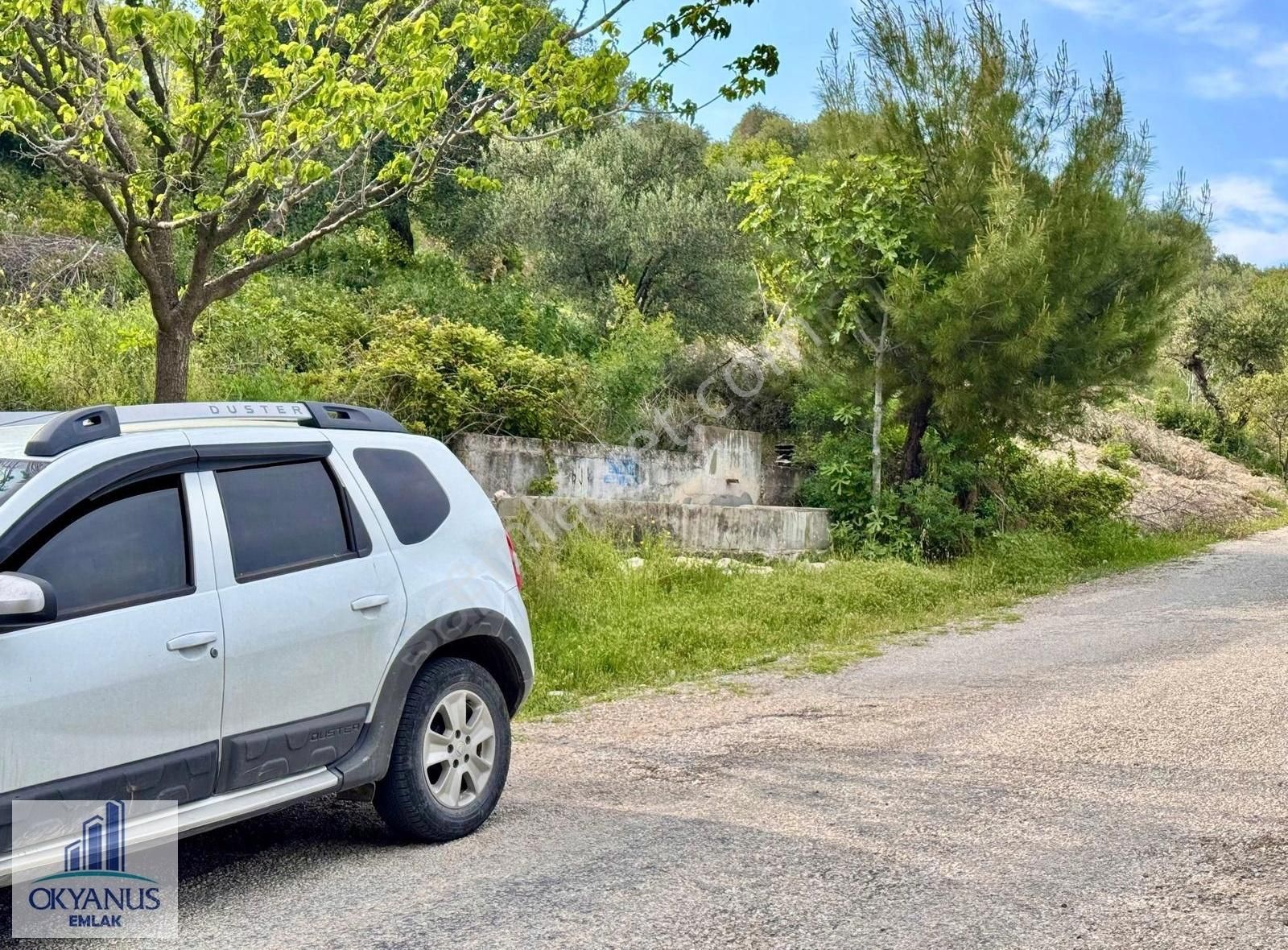 Kağan Da 780 M2 Asfalta Sıfır Zeytinlik , 6 Adet Zeytin - Görsel 14