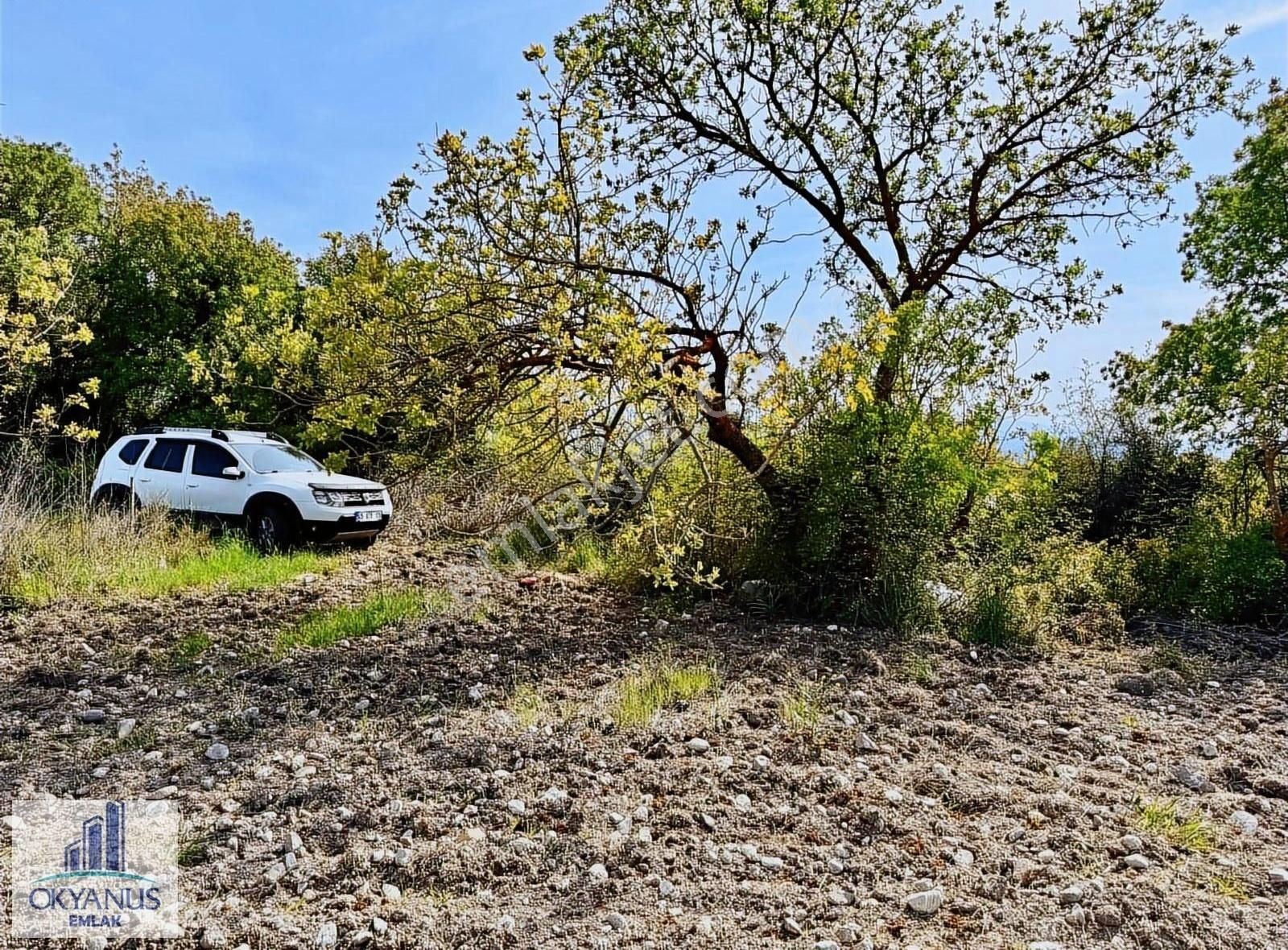 Çamköy De 10.000 M2 Zeytinlik , Müstakil Tapulu,üçpınara 1.3 Km - Görsel 33