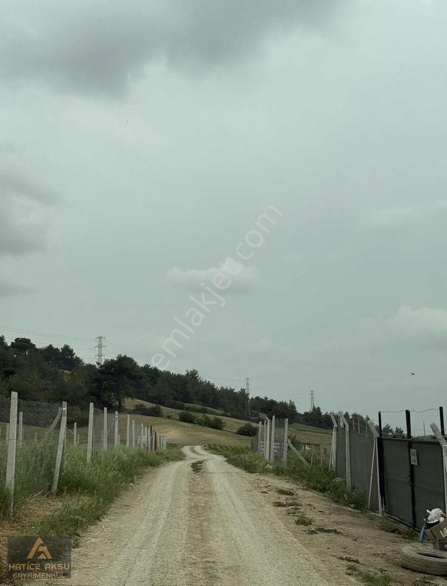 Hatice Aksudan Kılıçlıda 310 M2 Kılıçlı Kozan Yoluna Yakın