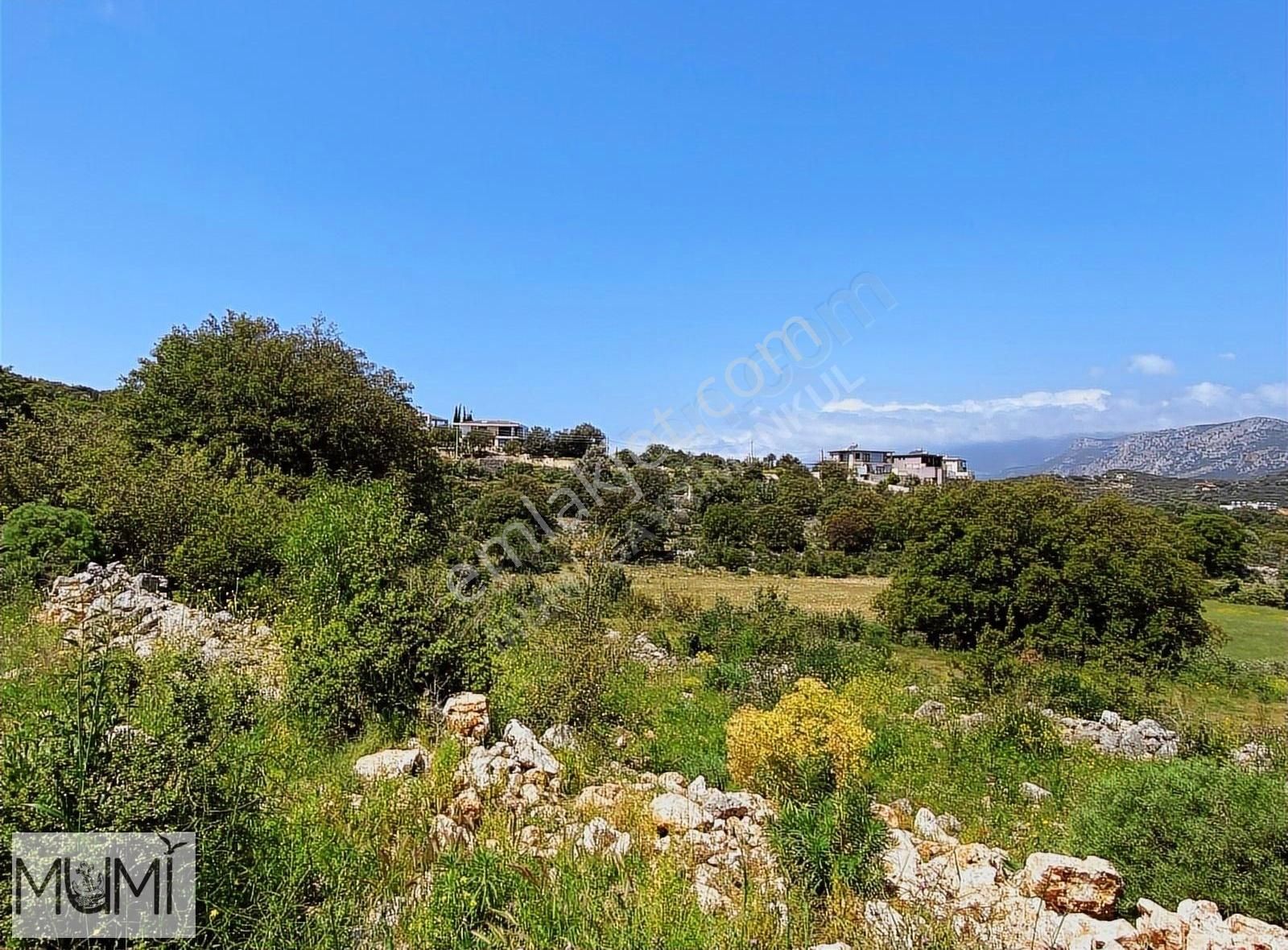 Antalya Kaş Bayındır'da 2 Komşu Tarla Parseli | Toplam 3.739 M² - Görsel 8