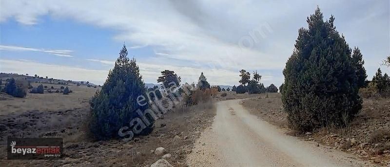 Silifke Kavak Köyünde Müstakil Tapulu Arazi