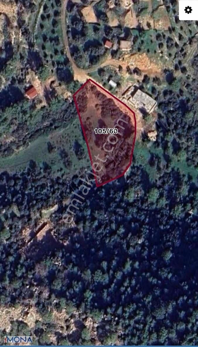 Kaş Gelemişte Denize 300 Mtrmüstakil 3740 M2 2b Zeytinli Tarla