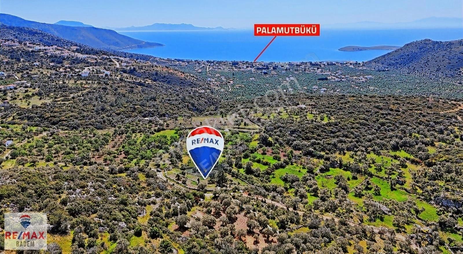 Datça Yaka Köyünde Satılık 2.388 M2 Bademlik