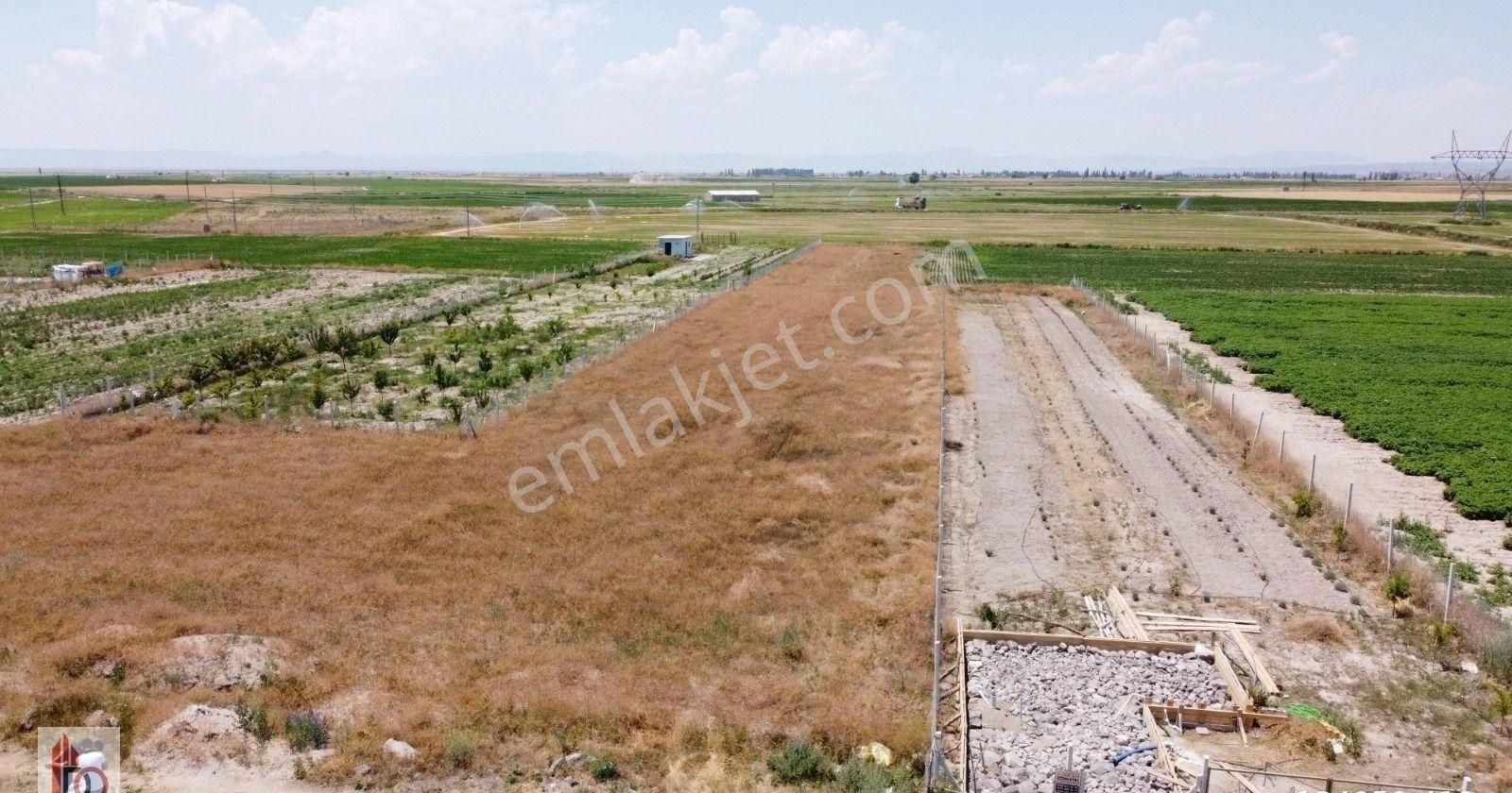 Develioğlu Emlak--zilede Satılık Bağ