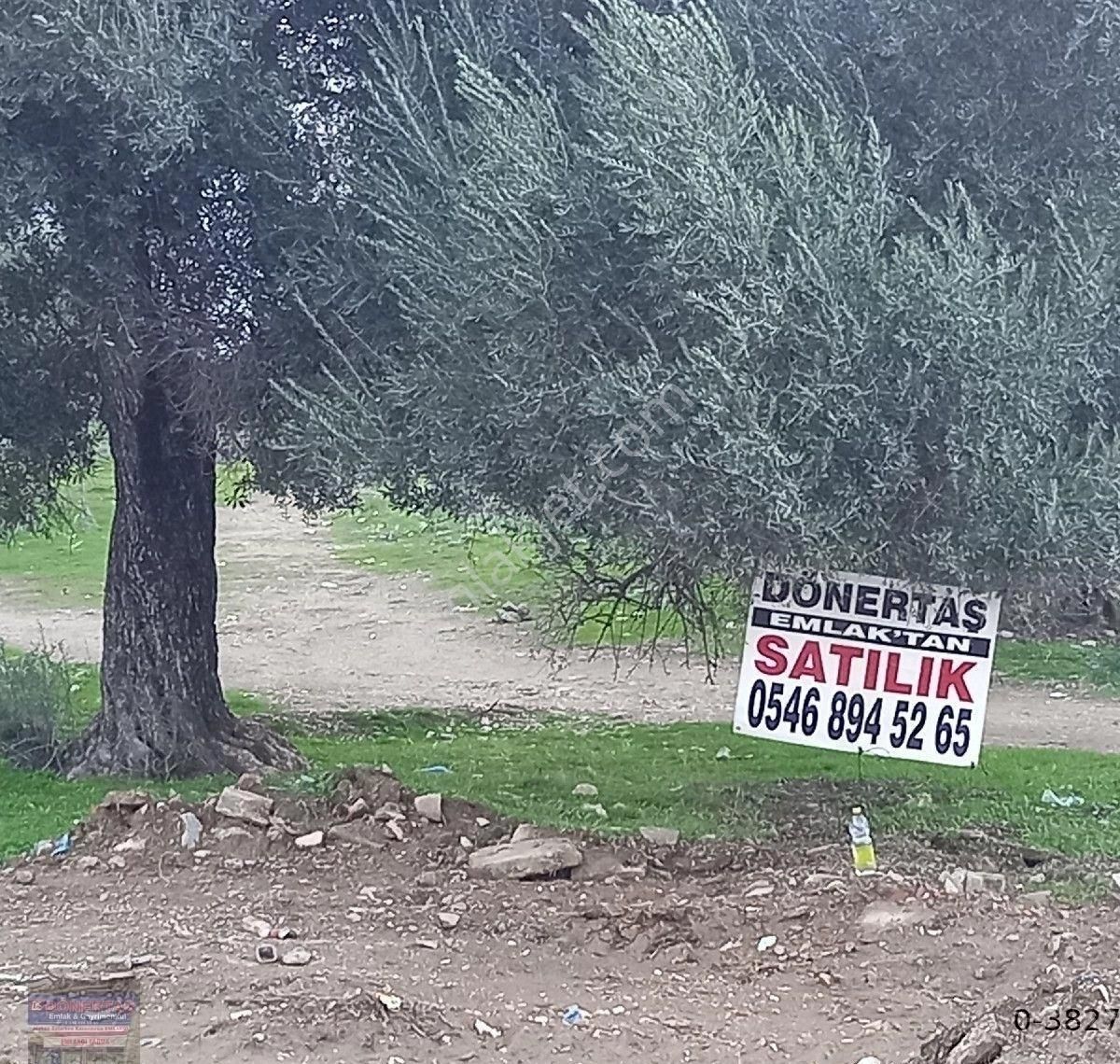 Dönertaş Emlak Tan Satılık Arsa