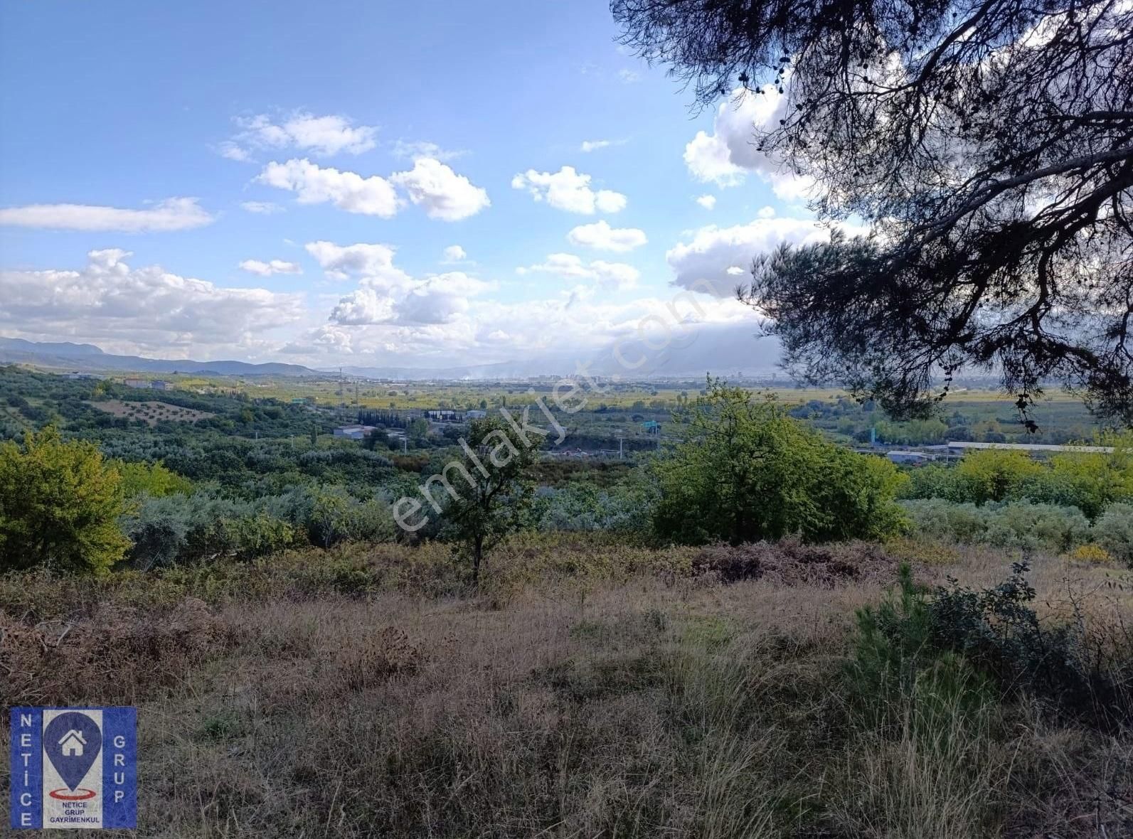 Osmangazi Ahmetbey Köyünde Satılık Bahçe