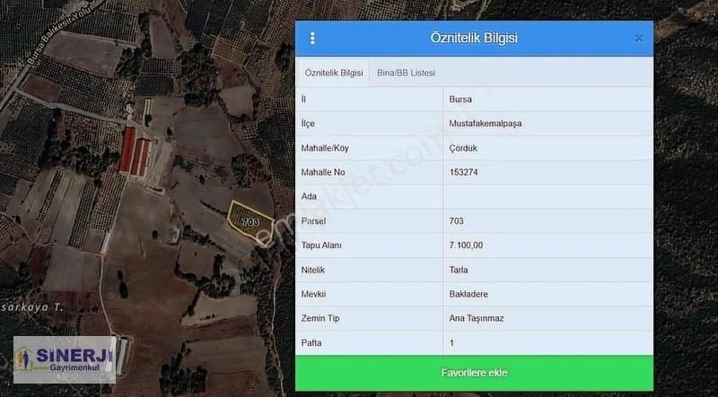 Mustafakemalpaşa' Da 7100 Metrekare 165 Zeytin Ağaçlı Tarla