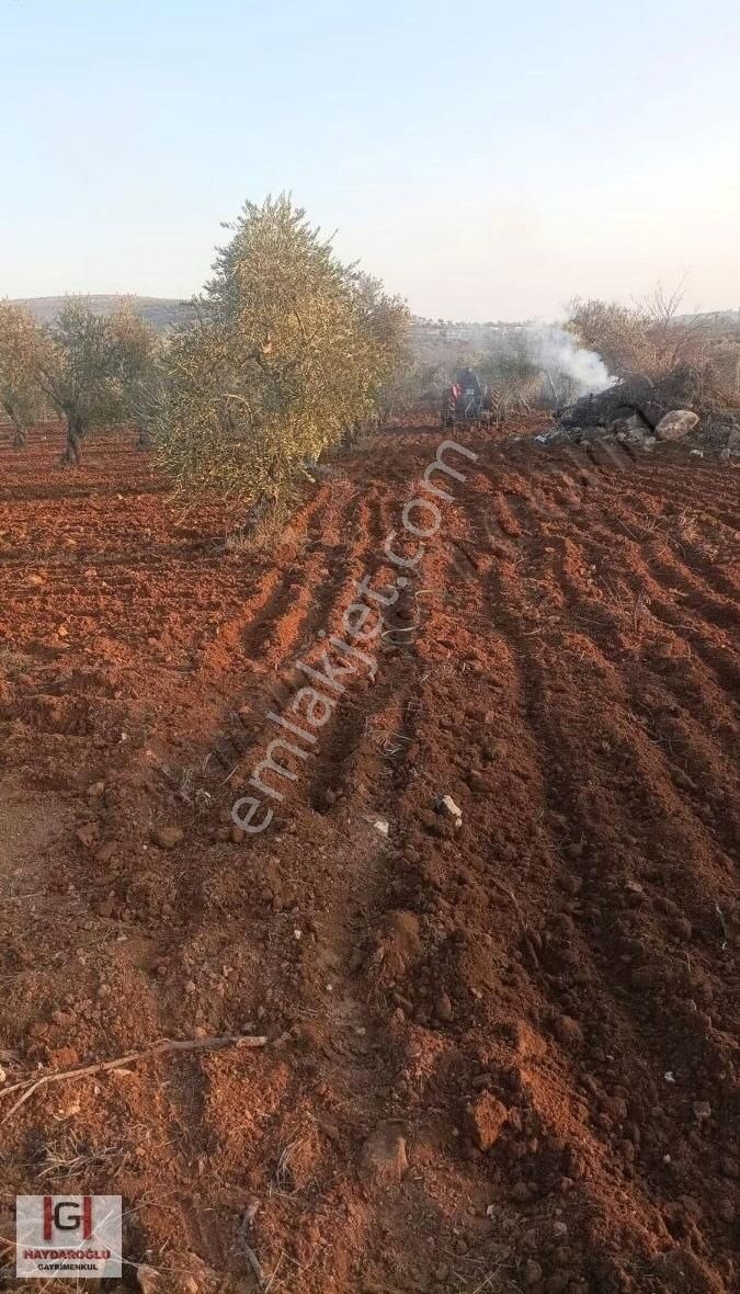 Gülpınarda Yatırımlık Ve Bağevlik Bahçe
