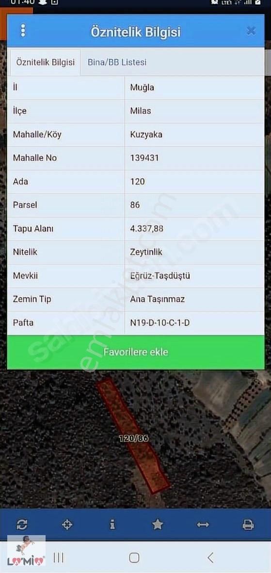 Milas Kuzyaka Mahallesinde Satılık Zeytinlik 4.400 M²