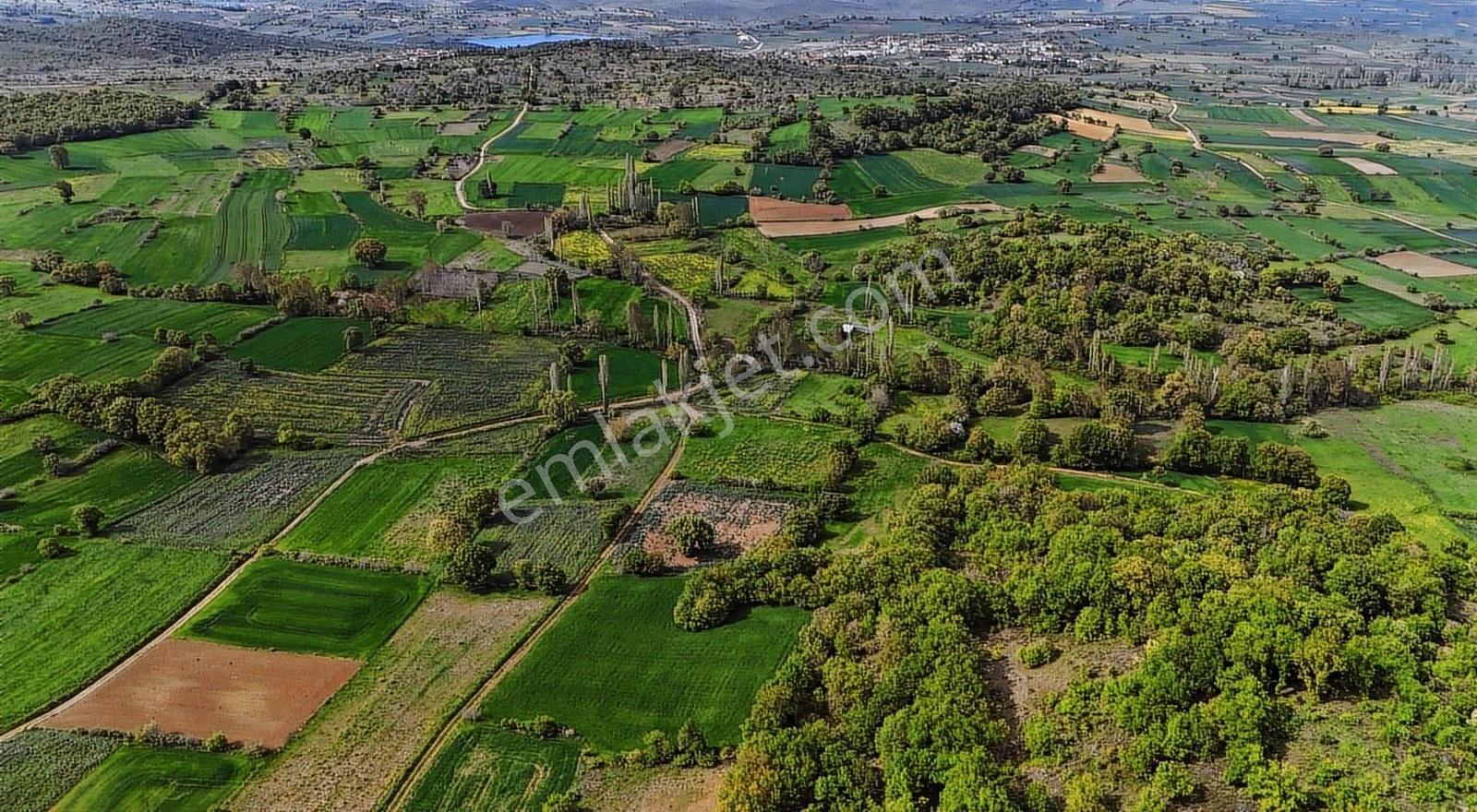 Çanakkale Biga Kozçeşme 3400 M2 Satılık Arazi - Görsel 11