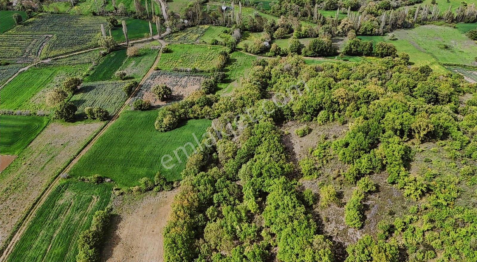 Çanakkale Biga Kozçeşme 3400 M2 Satılık Arazi - Görsel 5