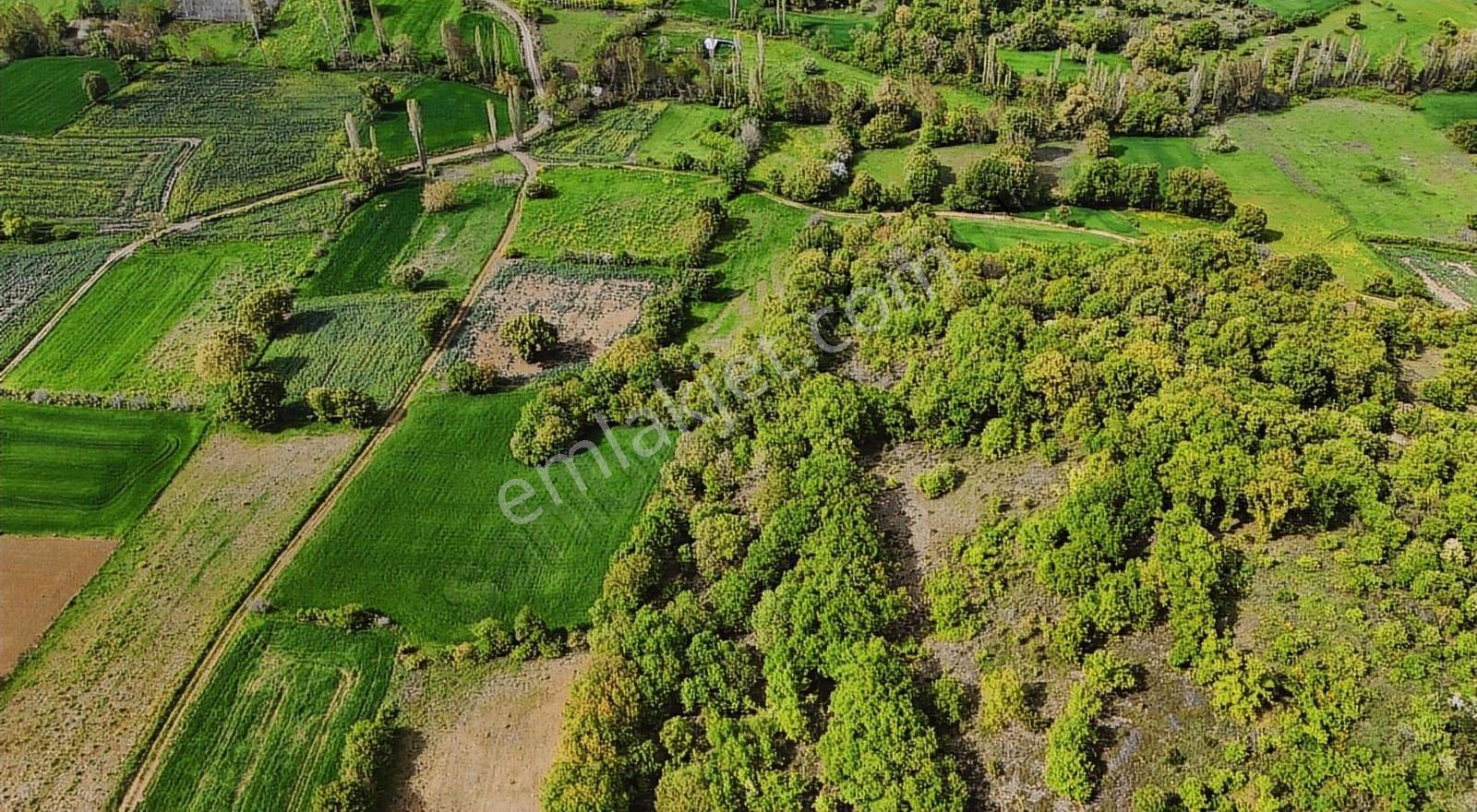 Çanakkale Biga Kozçeşme 3400 M2 Satılık Arazi - Görsel 9