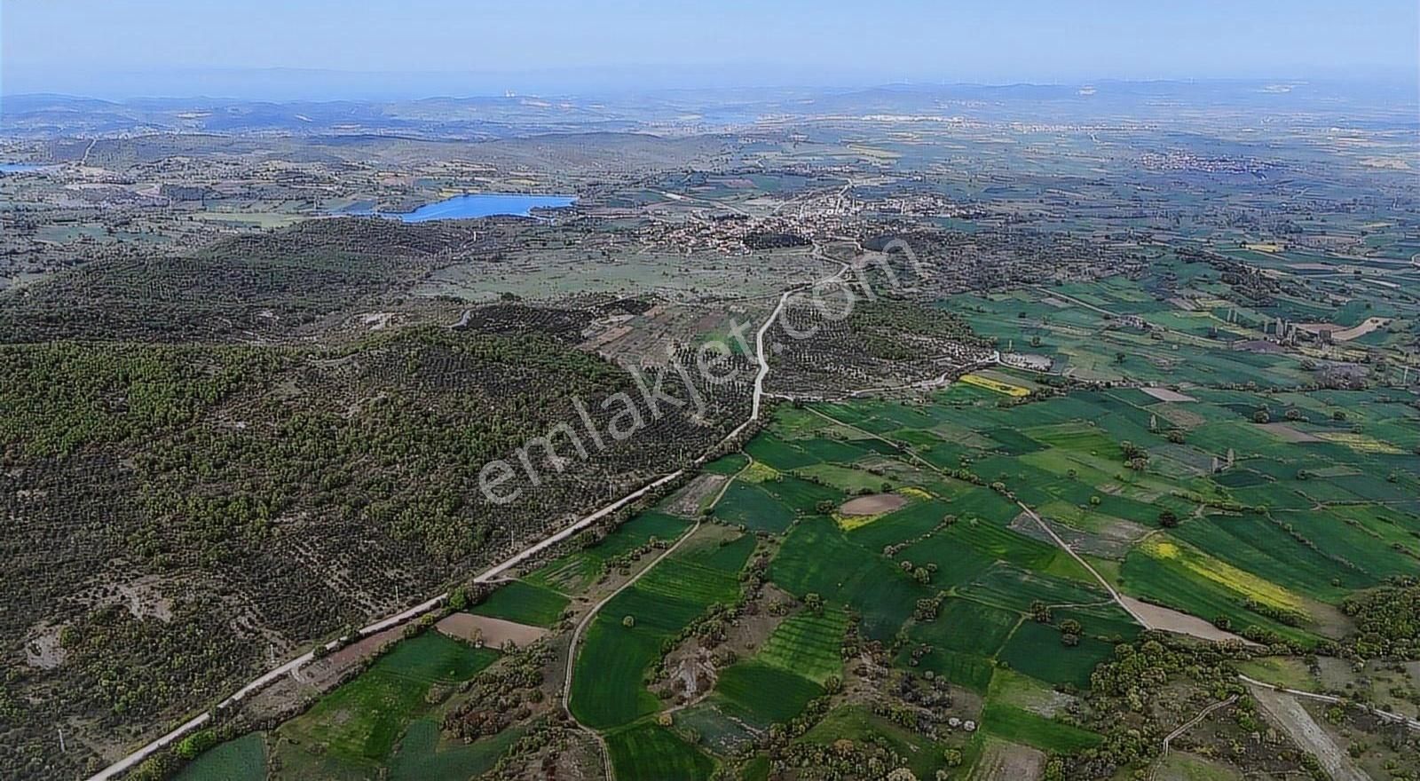 Çanakkale Biga Kozçeşme Satılık 1850 M2 Satılık Bağ