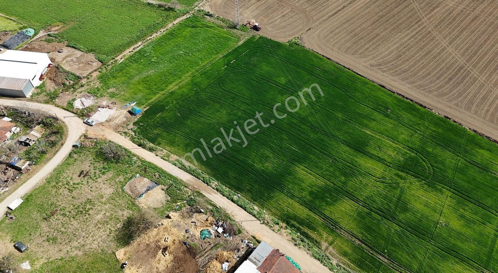 Çanakkale Biga 1200 M2 İmarlı Arsa - Görsel 19