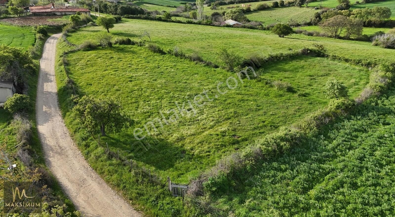 Bayramiç Bıyıklı Köyünde 1150 M² Satılık Tarla 250 M² İmarda!