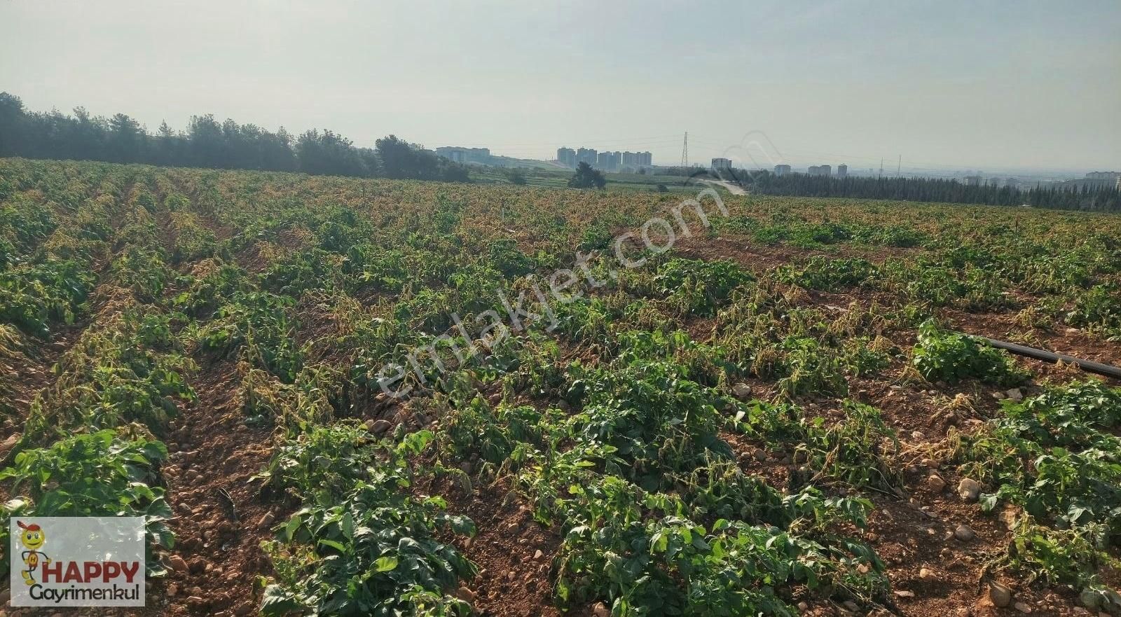 Adana Çukurova Kabasakal Tek Tapu Villa İmarlı Kupon Arsa
