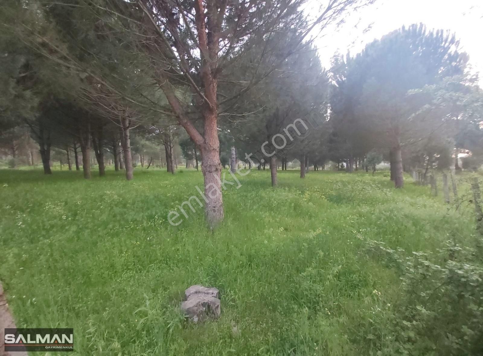 Kozak Yaylası'nda Anayola Yakın Satılık Tarla