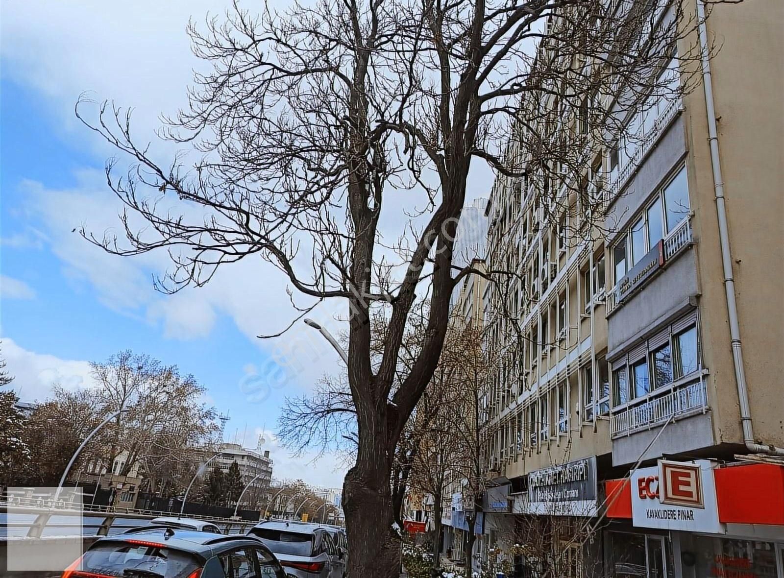 Ankara Çankaya Atatürk Bulvarı Üzeri Boş 3+1 Satılık Daire