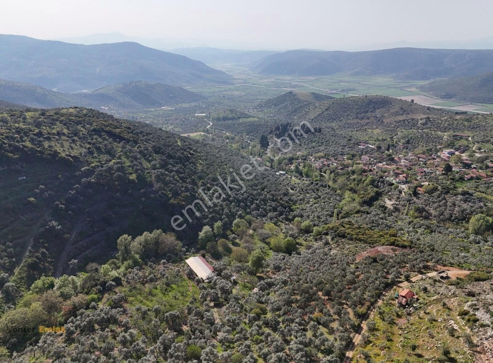 Yönter Emlaktan Akçaşehir Köyünde 14 Bin 500 M² Zeytinlik - Görsel 33