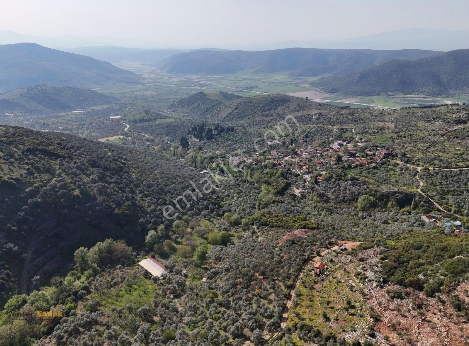 Yönter Emlaktan Akçaşehir Köyünde 14 Bin 500 M² Zeytinlik - Görsel 6