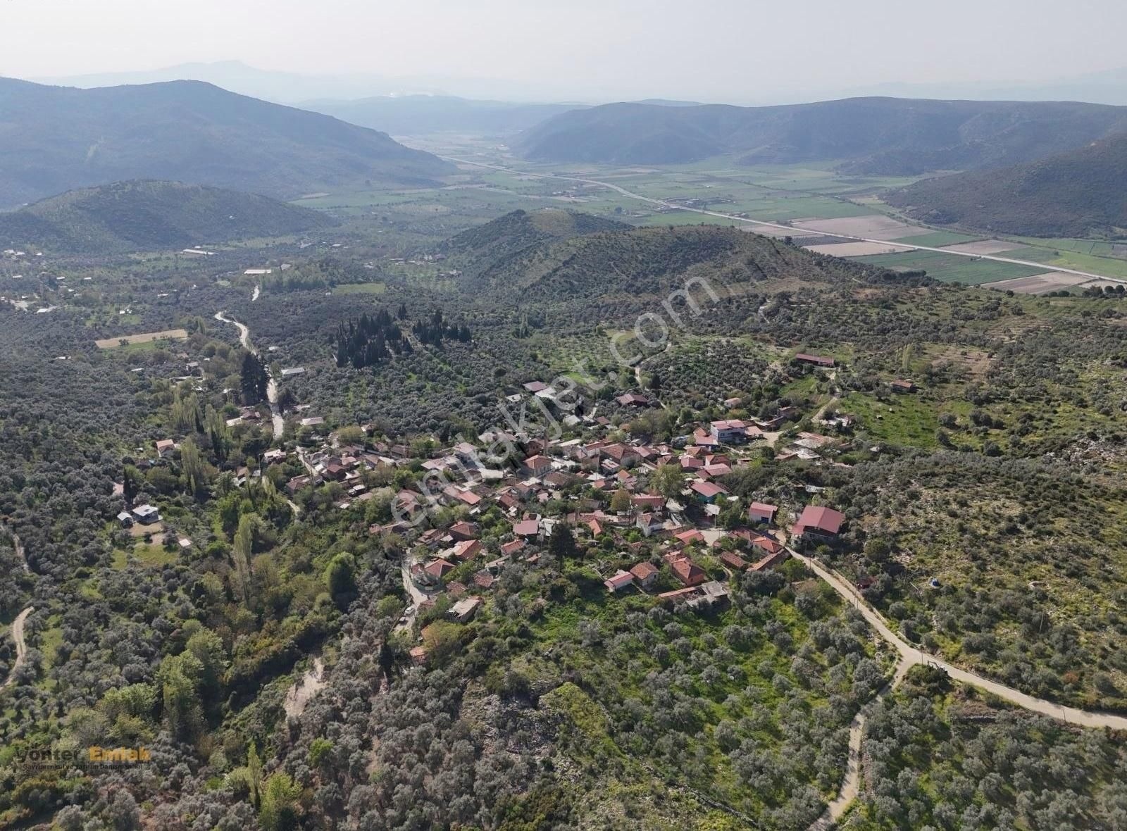 Yönter Emlaktan Akçaşehir Köyünde 14 Bin 500 M² Zeytinlik - Görsel 10