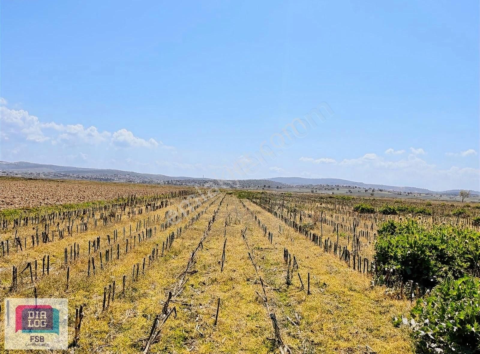 Çanakkale Ezine Pınarbaşı Köyünde 12762 M2 Satılık Tarla