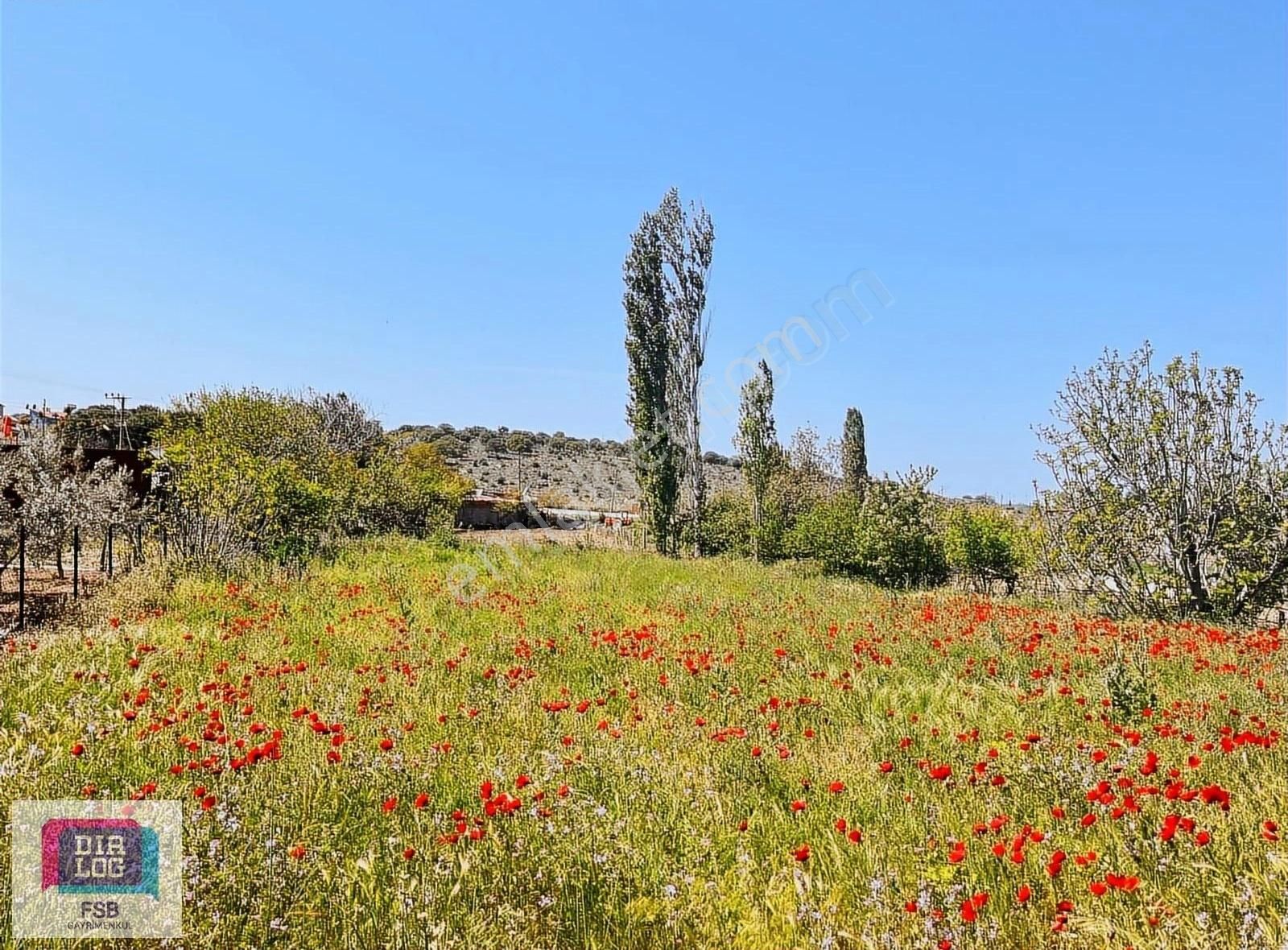 Çanakkale Ezine Pınarbaşı Köyünde 990 M2 Satılık Arsa
