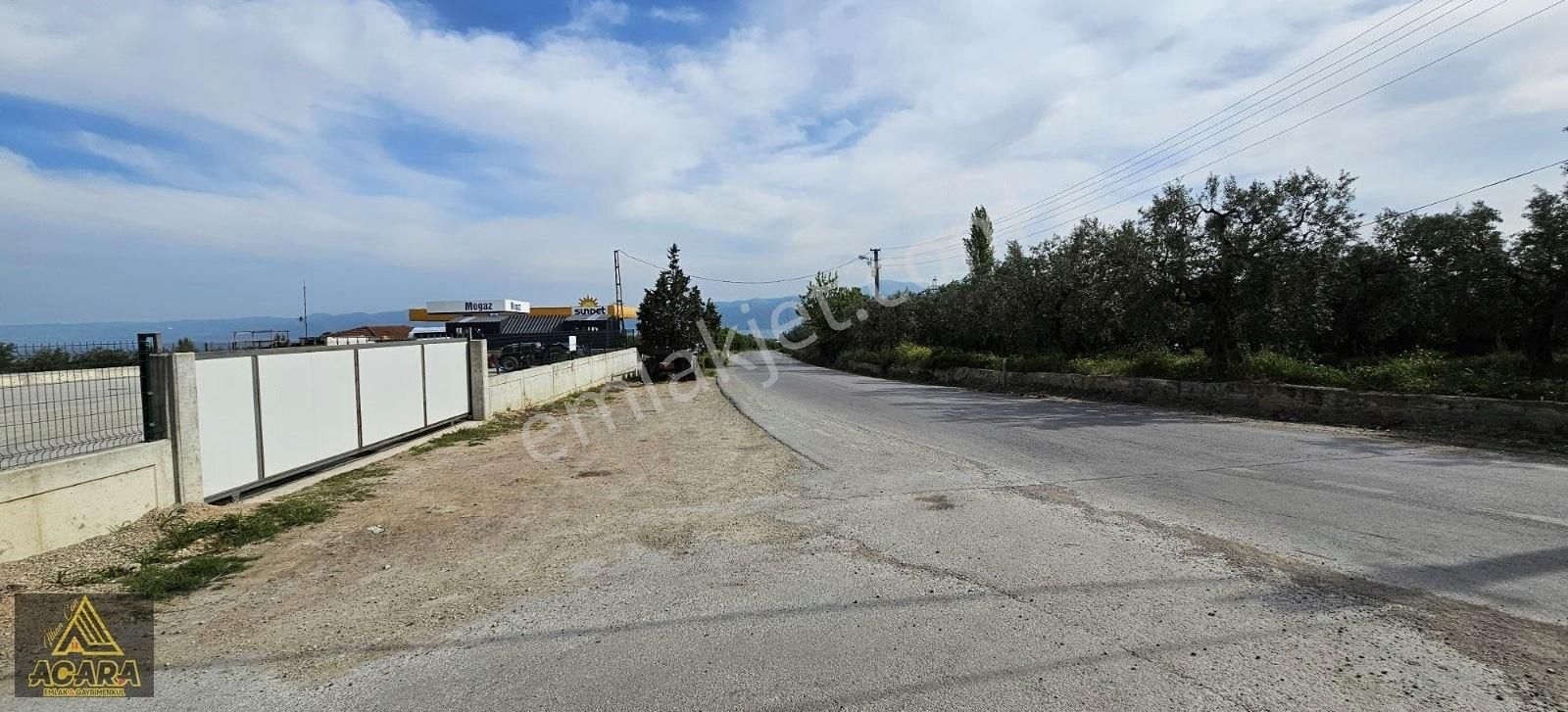 Acara'dan Satılık/orhangazi Yeniköy'de / 3.772m² Zeytinlik - Görsel 2