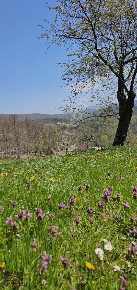 Acara'dan İznik Kutluca'da 3 Villalık, 5.5 Dönüm İmarlı Arsa