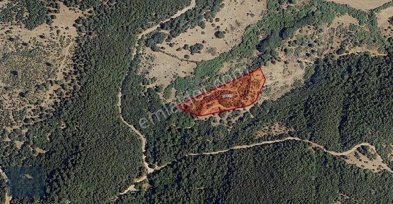 Manisa Soma Bonçuklu Köyünde 7.225 M2 Satılık Müstakil Tarla