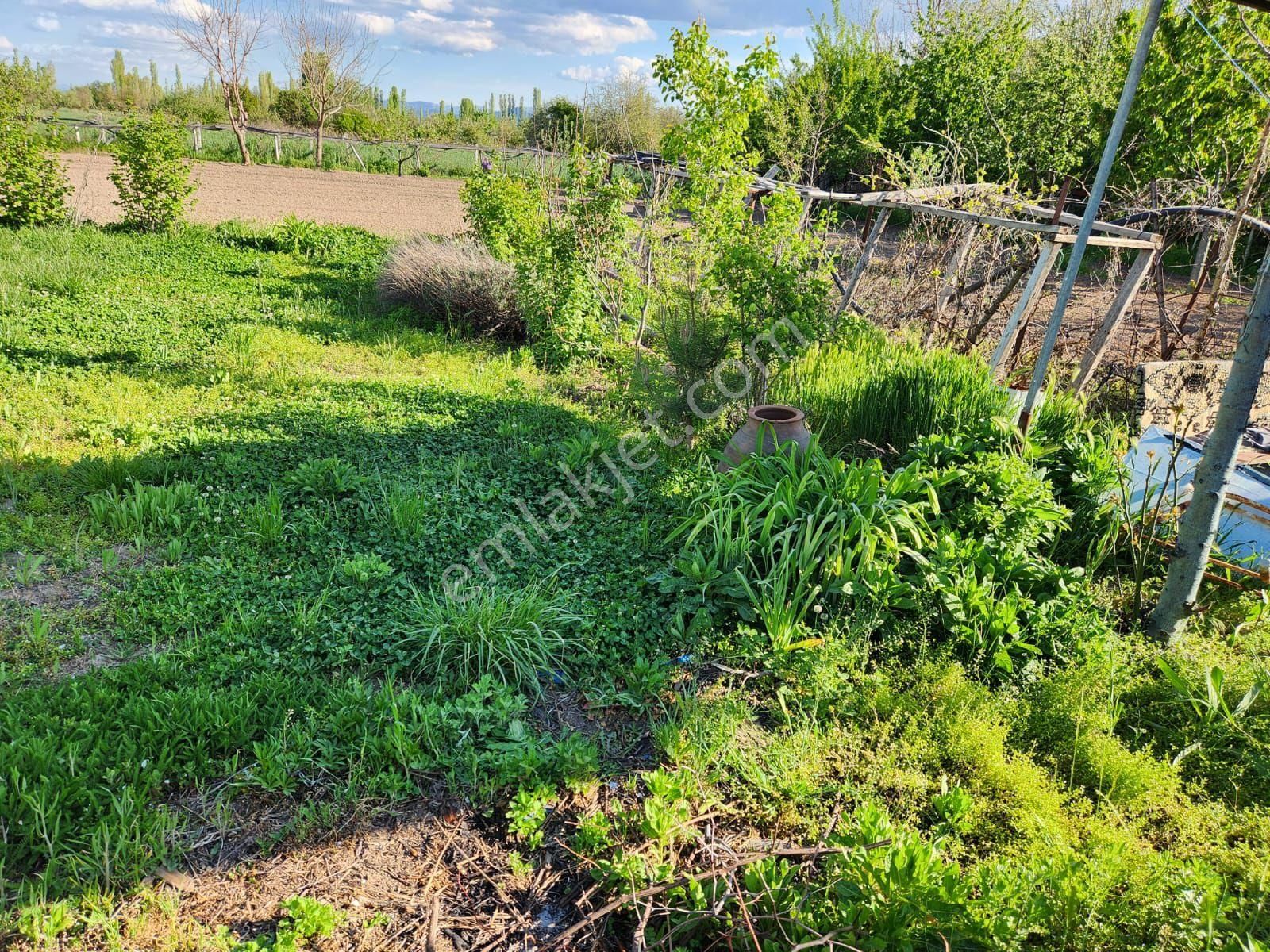 Seydişehir Bostandere Kavşagının Sagtarafında Konya Yoluna 50 Metre Satılık 1509 M2 Bahçeli Ev - Görsel 14