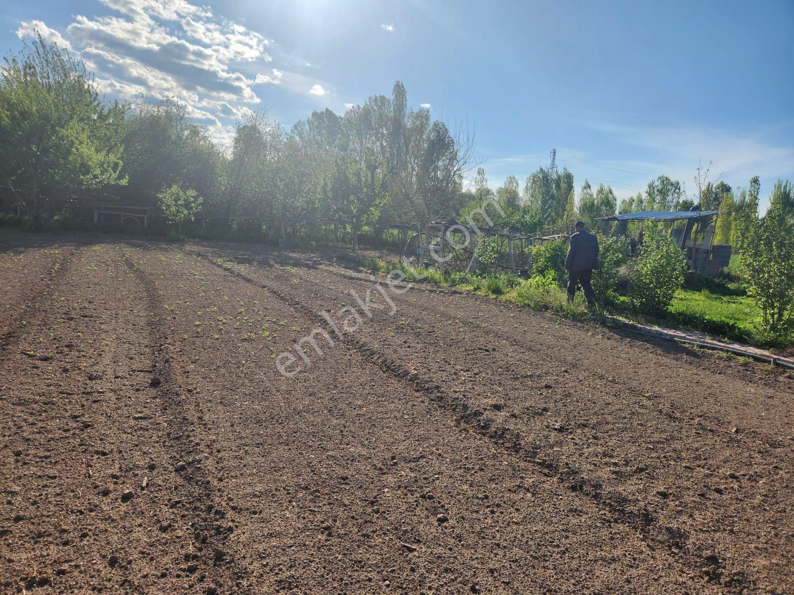 Seydişehir Bostandere Kavşagının Sagtarafında Konya Yoluna 50 Metre Satılık 1509 M2 Bahçeli Ev - Görsel 6