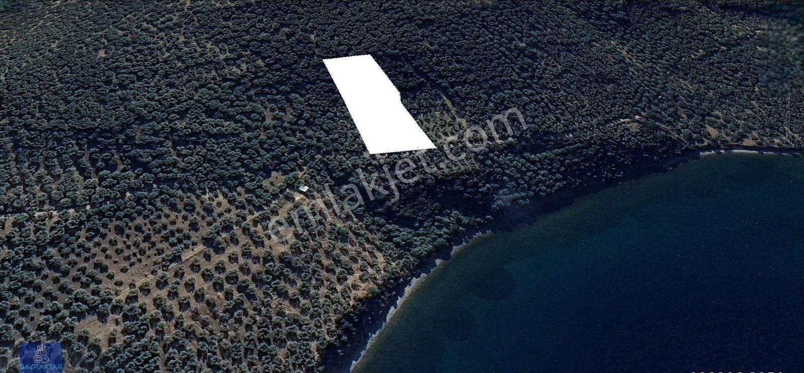 Bandırma Edincik'te Full Deniz Manzaralı 4.000 M2 Mükemmel Lokasyonda Arazi Bayraktar Emlak'tan