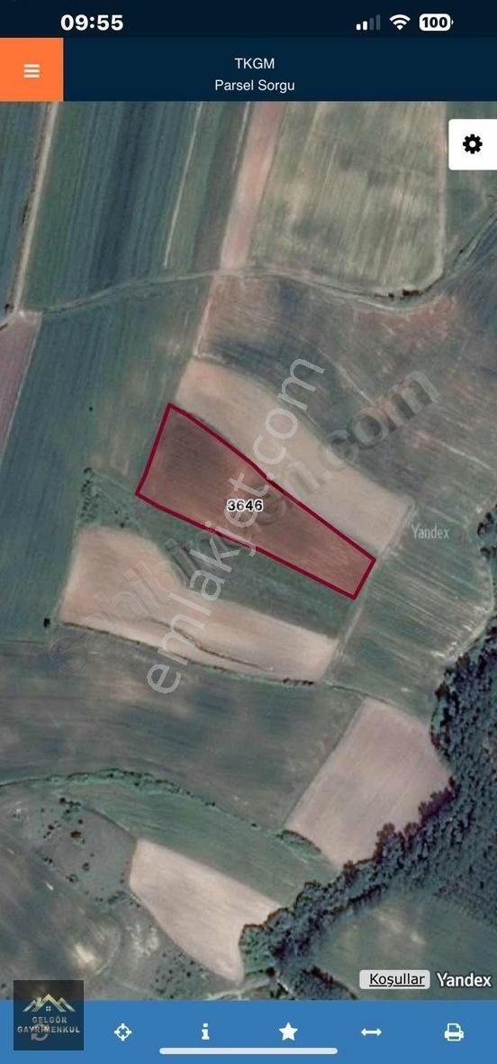 Kırklareli Kavaklıda 7.950m2 Yatırımlık Satılık Kupon Tarla