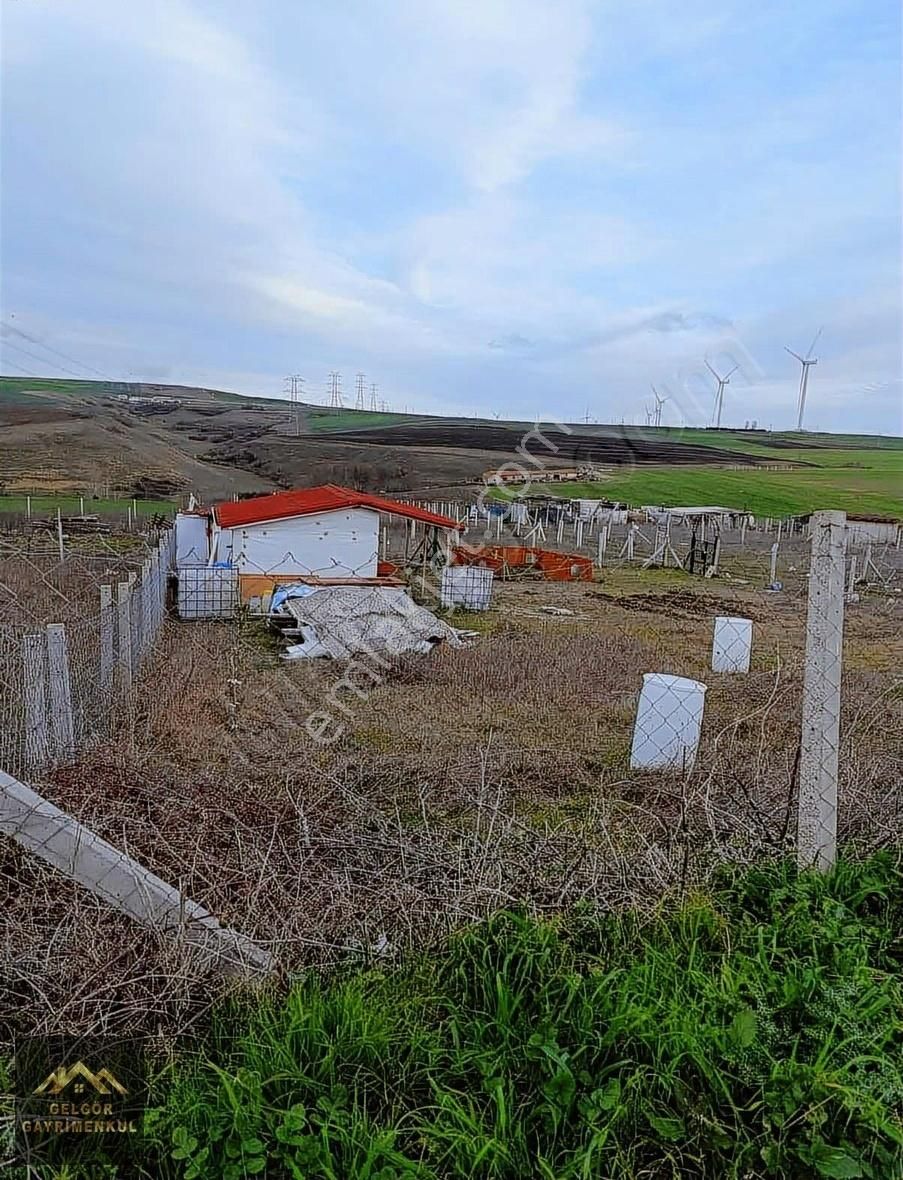 Silivri Fenerköy Yola Cephe 340m2 Telle Çevrili Satılık Arsa