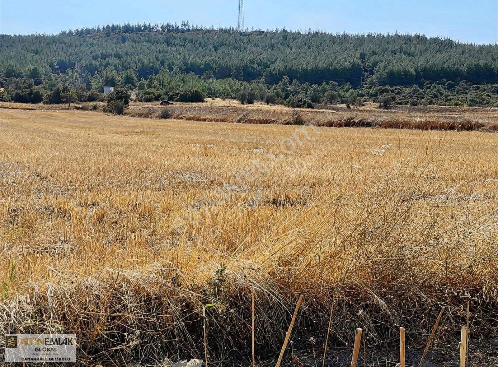 Çanakkale Ecabat'da Yatırımlık 5500 M2 Fırsat Arazi