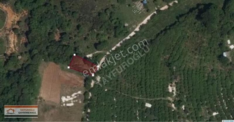 Tayfuroğlundan Satılık Şile Ahmetli Mahallesinde 408 M2 Arsa - Görsel 9