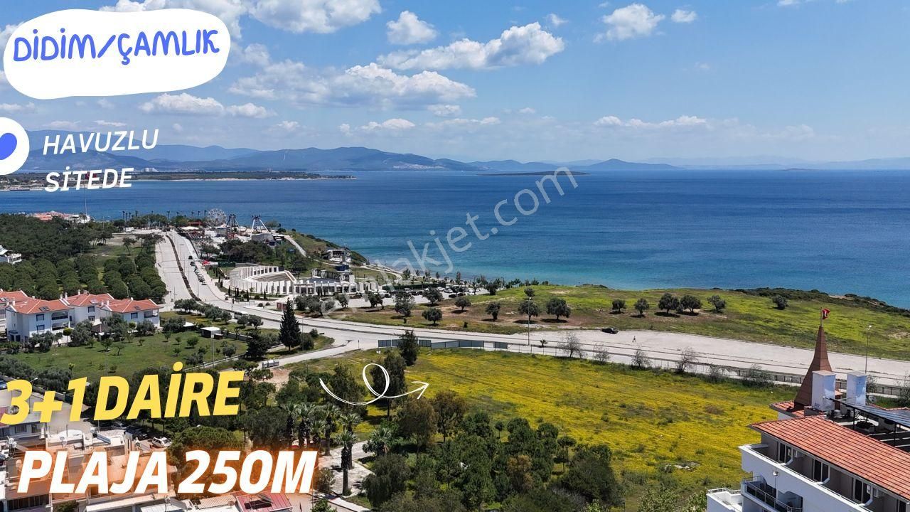 Didim Çamlık Amfi Ve 3.koya 250m Satılık Havuzlu Sitede 3+1 Daire