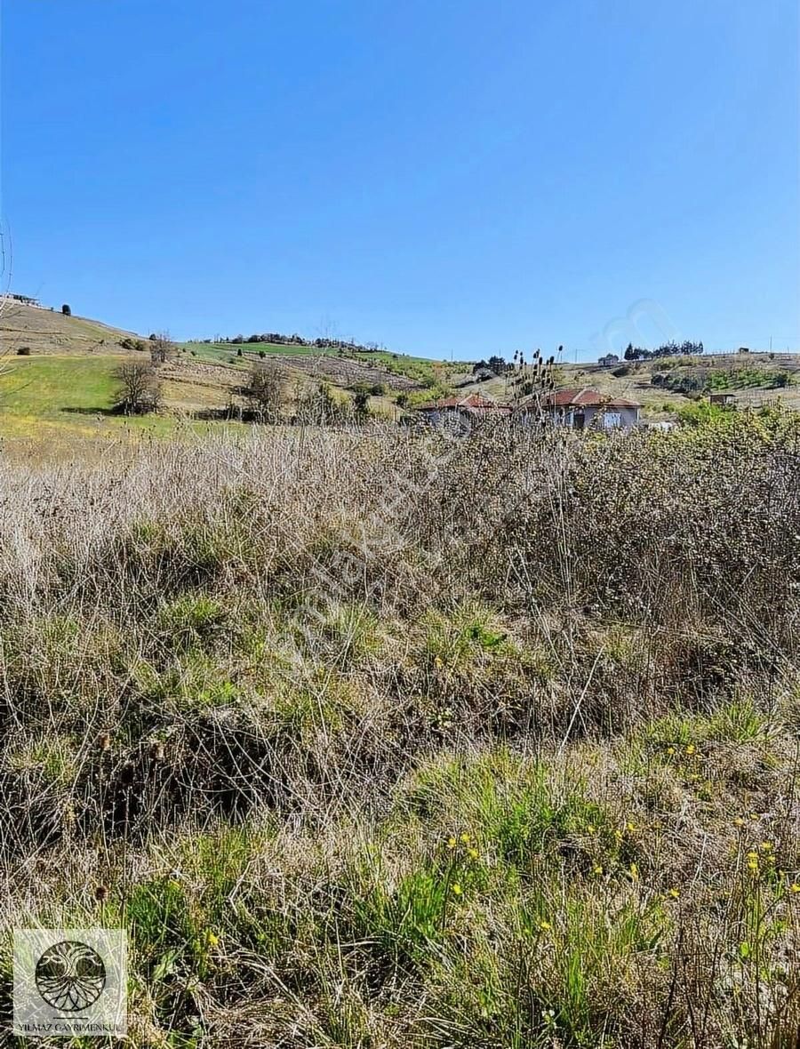 Ağva Geredeliyola Cepheli 5193 M2