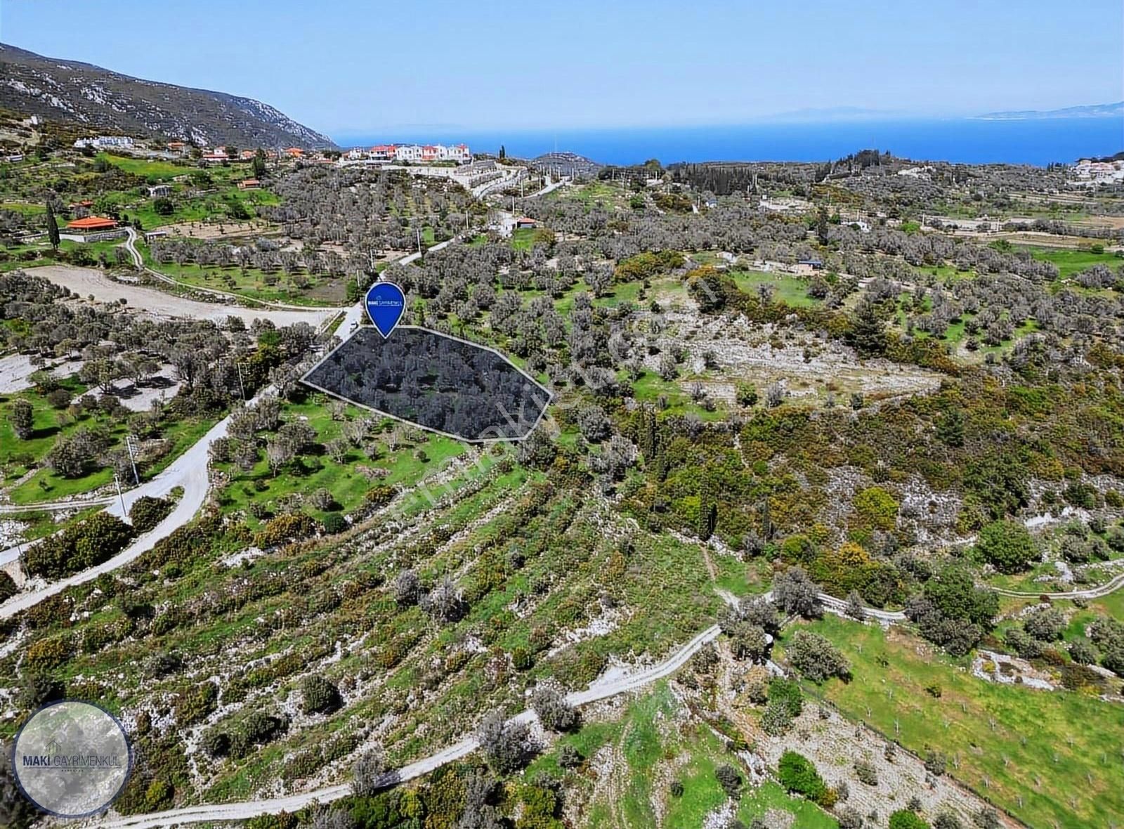 Kösedere'de Yatırımlık Zeytinlik-çiftlik Evi Hayali İçin İdeal! - Görsel 6